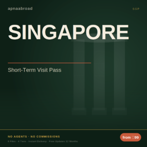 Singapore Visit Visa Guide — Essential